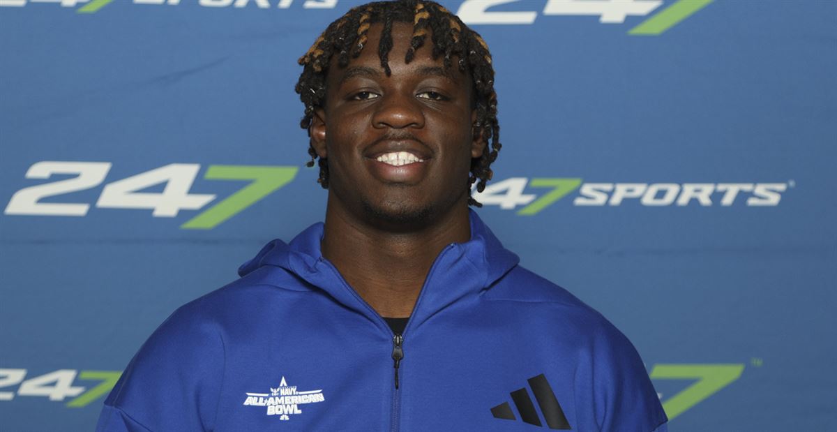 的整体表现 的整体表现