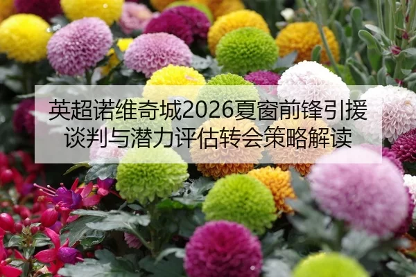 英超诺维奇城2026夏窗前锋引援谈判与潜力评估转会策略解读