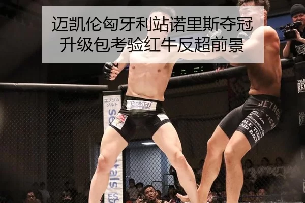 mai-kai-lun-xiong-ya-li-zhan-nuo-li-si-duo-guan-sheng-ji-bao-kao-yan-hong-niu-fan-chao-qian-jing-3-937.jpg